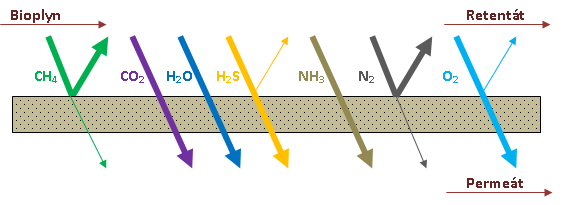 bioplyn